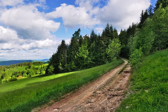 Užijte si ozdravné pobyty v Beskydech